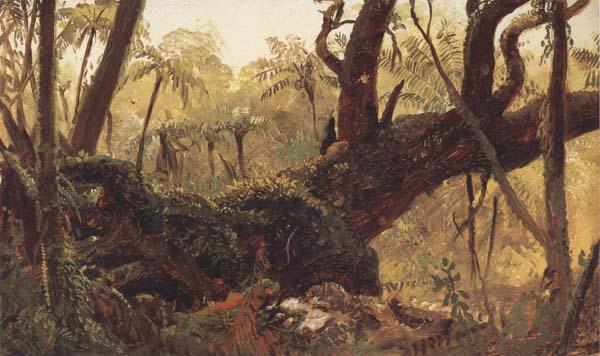 Frederic E.Church Rain Forest,jamaica,West Indies oil painting picture